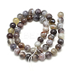 Natural Botswana Agate Beads Strands X-G-S150-24-8mm-2