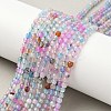 Natural Agate Beads Strands X-G-E469-12V-1
