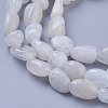 Natural Rainbow Moonstone Beads Strands G-P433-16-3