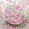 Glass Seed Beads SEED-K009-02B-23-2