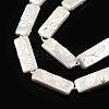 Plating Natural Freshwater Shell Beads Strands X-SHEL-N026-231-3