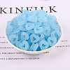 Opaque Resin Cabochons HEAR-PW0002-017E-1