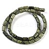 Natural Serpentine/Green Lace Stone Beads Strands G-H064-B01-01-3