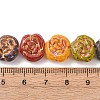 Painted Glass Beads Strands GLAA-B037-12C-12C-4
