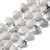 Natural Labradorite Beads Strands G-P570-E18-01-2