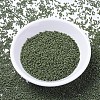 MIYUKI Delica Beads LS-X-SEED-J020-DB1135-2