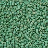 MIYUKI Delica Beads SEED-X0054-DB0877-3