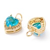 Brass Micro Pave Cubic Zirconia Charms ZIRC-A019-14G-3