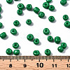 6/0 Glass Seed Beads SEED-S058-A-F280-4