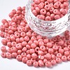 6/0 Glass Seed Beads SEED-S058-A-F420-1