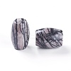 Natural Black Silk Stone/Netstone Beads G-L510-05A-2