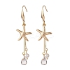 Starfish/Sea Stars 304 Stainless Steel Dangle Earring X-EJEW-TA00037-1