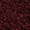TOHO 6/0 Round Beads SEED-XTR06-0046F-4