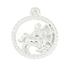 Twelve Constellations Alloy Pendants LS-PALLOY-Q006-01D-S-1