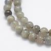 Natural Labradorite Beads Strands G-P322-29-4mm-3