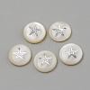 Natural Freshwater Shell Beads X-SHEL-Q011-008P-1