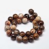 Natural Petrified Wood Round Bead Strands G-F266-08-12mm-3