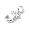 Rack Plating Brass with ABS Plastic Pearl European Dangle Charms KK-G501-02J-P-2