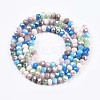 Glass Beads Strands X-GLAA-T006-16E-2
