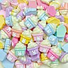 Cartoon Opaque Resin Decoden Cabochons RESI-C039-02A-2