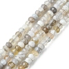 Natural Botswana Agate Beads Strands G-F748-D01-1