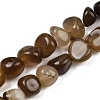 Natural Agate Beads Strands G-L630-F01-01D-2