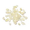 Natural New Jade Beads G-A023-01C-1