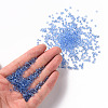 Glass Seed Beads X2-SEED-A004-3mm-6-4
