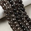 Natural Smoky Quartz Beads Strands X-G-B167-A09-10mm-1