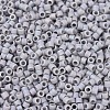 MIYUKI Delica Beads SEED-X0054-DB1598-3