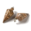 Natural Picture Jasper Pendants G-Z055-02P-18-2
