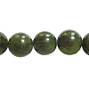 Olive Z0NCT015-1
