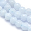 Natural Blue Lace Agate Beads Strands G-A177-04-09-3