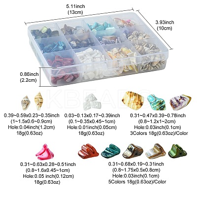 198G 11 Styles Natural Mixed Shell Beads Sets BSHE-FS0001-05-1