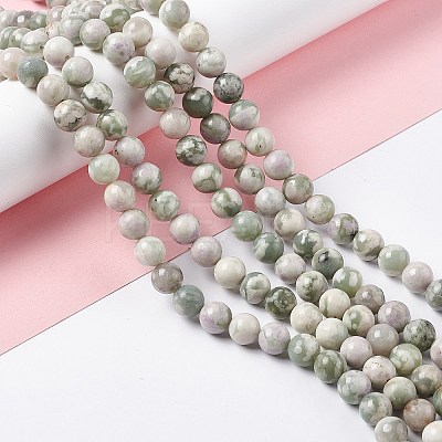 Natural Peace Jade Beads Strands G-G905-07-1
