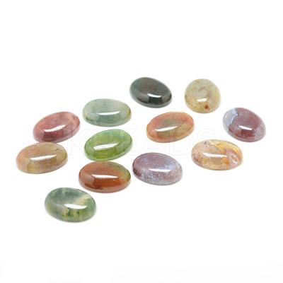 Natural Indian Agate Gemstone Cabochons G-T020-20x30mm-27-1