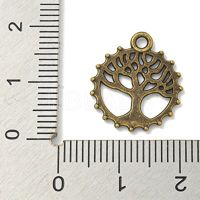 Tibetan Style Alloy Pendants TIBE-I026-5975AB-1
