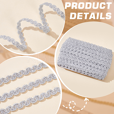 Polyester Braided Lace Trim Ribbon for Curtain Sofa Decoration OCOR-WH0105-013B-02-1