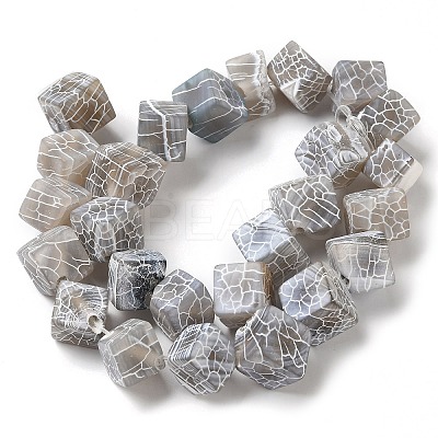 Natural Weathered Agate Beads Strands G-Q169-C04-01A-1
