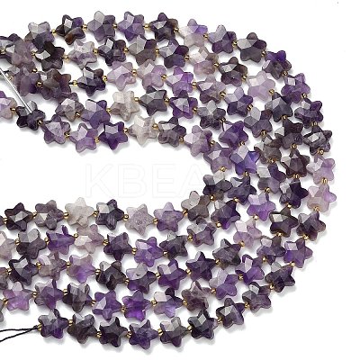 Natural Amethyst Beads Strands G-L657-A08-01-1