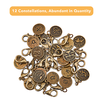 4 Sets 12 Constellations Flat Round Alloy Pendants Decoration HJEW-FH0001-37-1