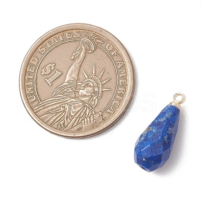 Natural Strawberry Quartz & Apatite & Lapis Lazuli & Lepidolite/Purple Mica Stone Pendants PALLOY-JF04925-1