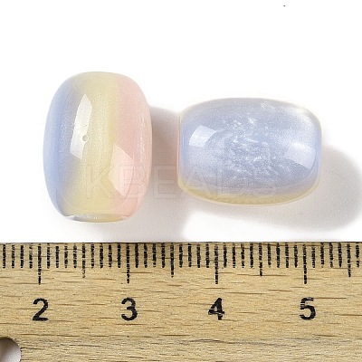 Triple Color Resin European Beads RESI-F055-13D-1