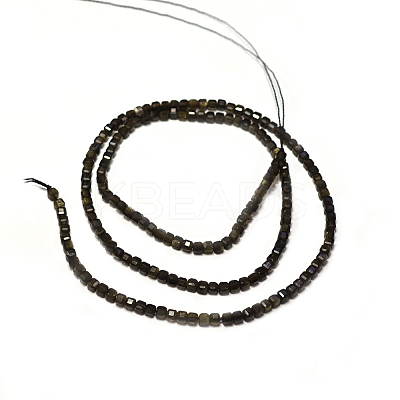 Natural Golden Sheen Obsidian Beads Strands LS-G-A026-B04-2mm-1