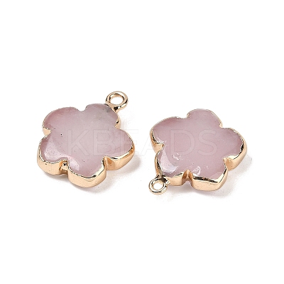 Natural Rose Quartz Pendants G-P566-01G-10-1