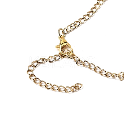 304 Stainless Steel Necklaces NJEW-FS00002-1