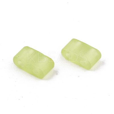FGB 2-Hole Baking Paint Glass Seed Beads X-SEED-S031-M-SH1204FR-1