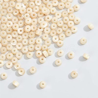 1 Strand Natural Trochid Shell/Trochus Shell Beads Strands BSHE-NB0001-18-1