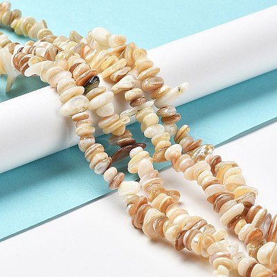 Natural Freshwater Shell Beads Strands X-G-M205-85B-1