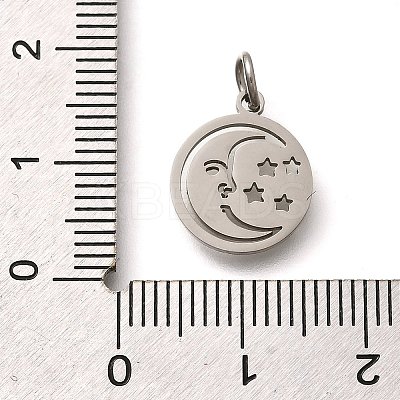 304 Stainless Steel Charms STAS-Z119-20P-1